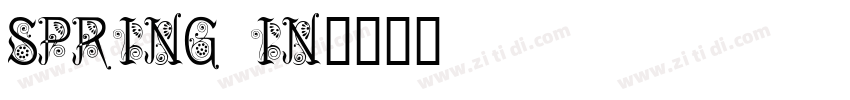 spring in字体转换